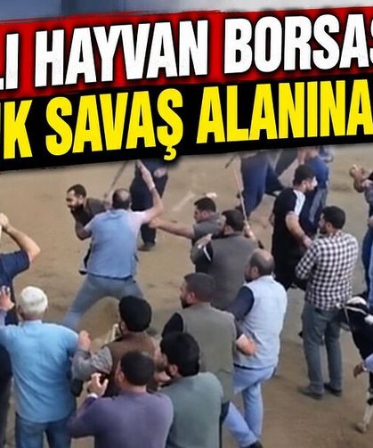 Canlı Hayvan Borsası’nda ortalık savaş alanına döndü!