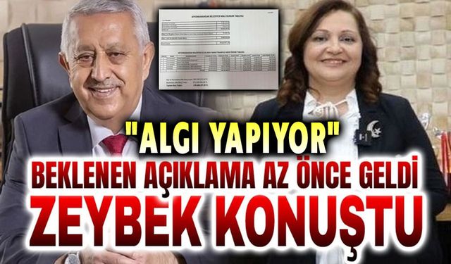 Mehmet Zeybek, Burcu Köksal'a cevap verdi!..