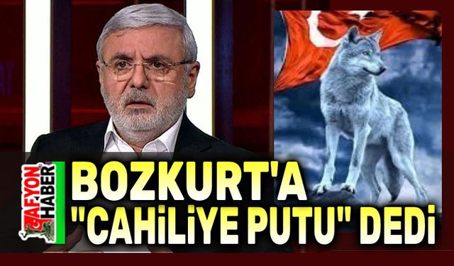 Mehmet Metiner'den Bozkurt açıklaması