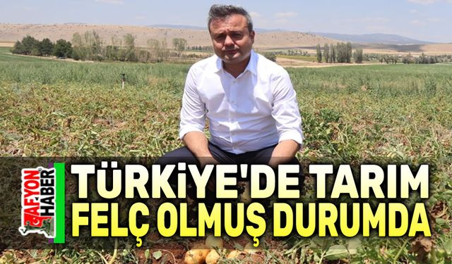 Faruk Duha Erhan: Türkiye'de tarım felç olmuş durumda