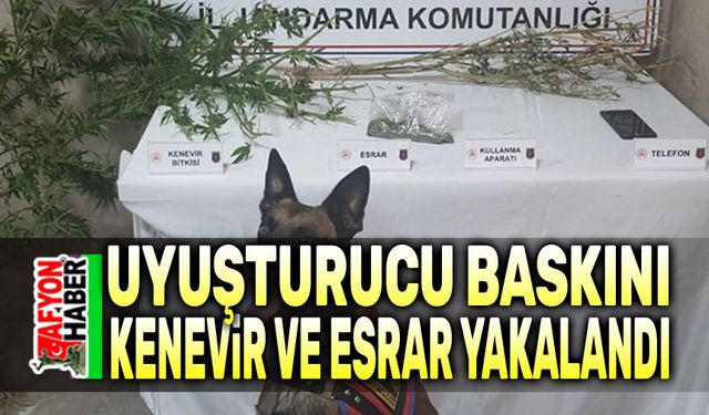 Afyon'da uyuşturucu baskını, kenevir ve esrar ele geçirildi