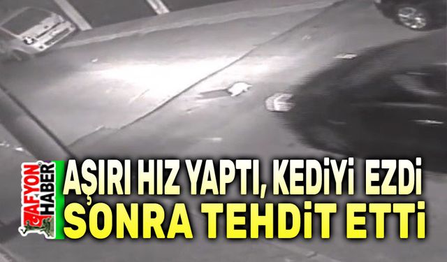 Aşırı hız yaptı, kediyi ezdi, vatandaşı tehdit etti!..