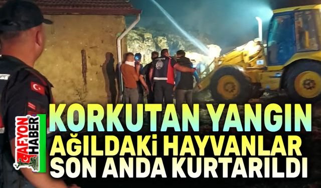 Afyon'da korkutan ağıl yangını