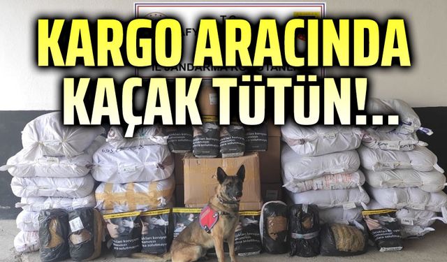 Kargo aracında kaçak tütün!..