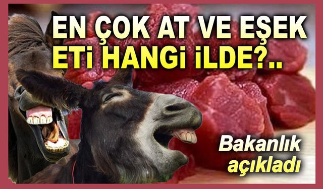 Ürünlerinde en çok at, eşek ve domuz eti bulunan şehirler!..