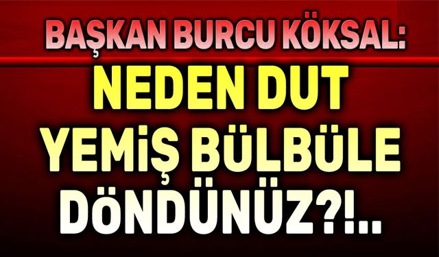 Burcu Köksal: Neden dut yemiş bülbüle döndünüz!..