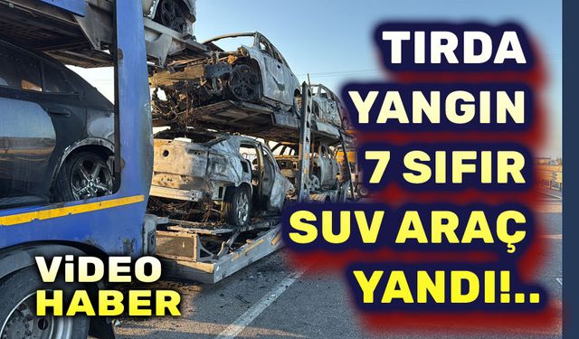 Tırda büyük yangın, 7 sıfır araç yandı