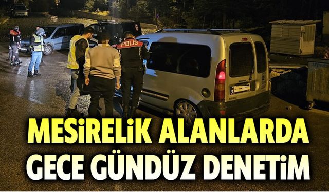 Mesirelik alanlarda gece gündüz denetim!..