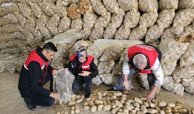 Afyon'dan 300 ton patates ihracatı yapıldı