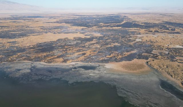 Eber Gölü yangınları çevre felaketine sebep oluyor