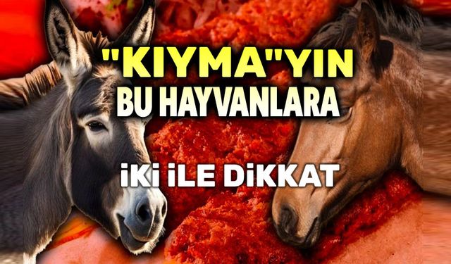 Son listede at eşek eti de var!..