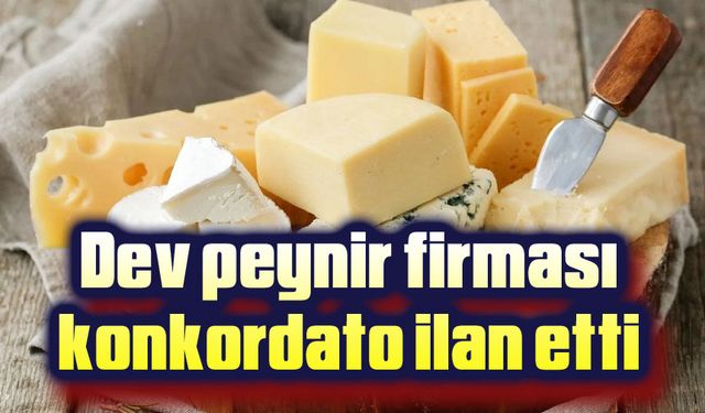 Dev peynir firması konkordato ilan etti