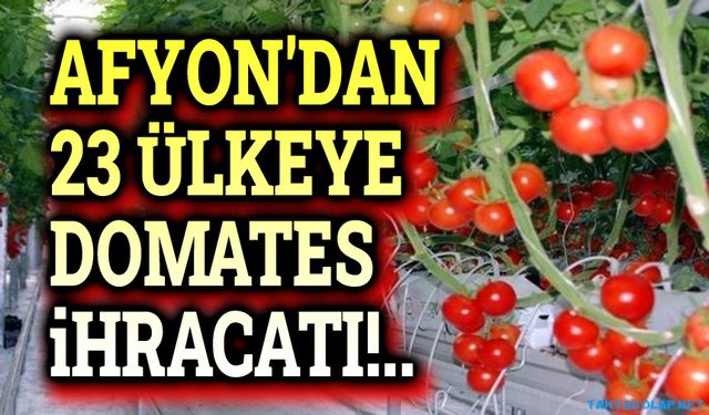 Afyonkarahisar’dan 23 ülkeye domates ihracatı!..