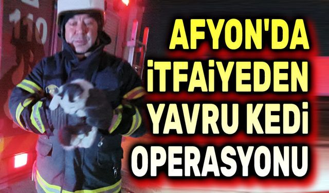 İtfaiyeden yavru kedi operasyonu