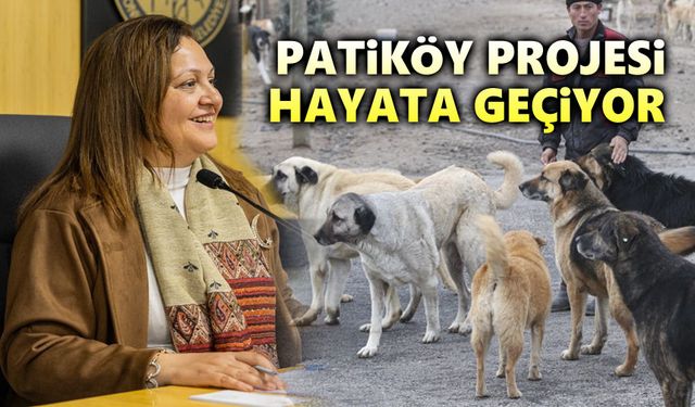 Afyon'da Patiköy Projesi hayat geçiyor