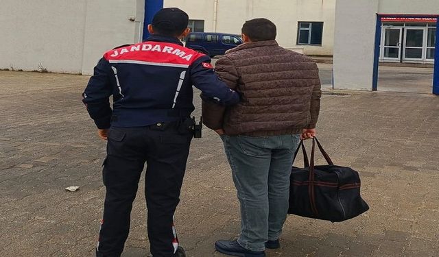 Ağaç kesme suçundan aranan şahıs yakalandı