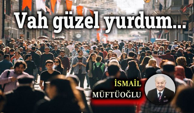 Vah güzel yurdum...