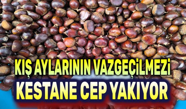 Kış aylarının vazgeçilmezi kestane cep yakıyor