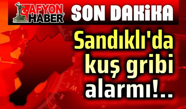 Afyonkarahisar Sandıklı'da kuş gribi alarmı!..