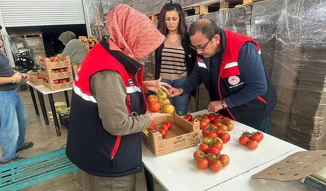 Afyonkarahisar'dan 23 ülkeye 8700 ton domates ihraç edildi