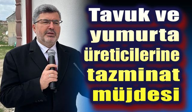 Ali Özkaya'dan tavuk üreticilerine tazminat müjdesi