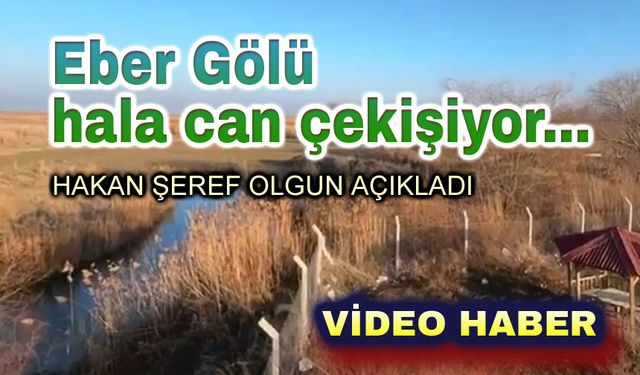 Hakan Şeref Olgun: Eber Gölü, hala can çekişiyor