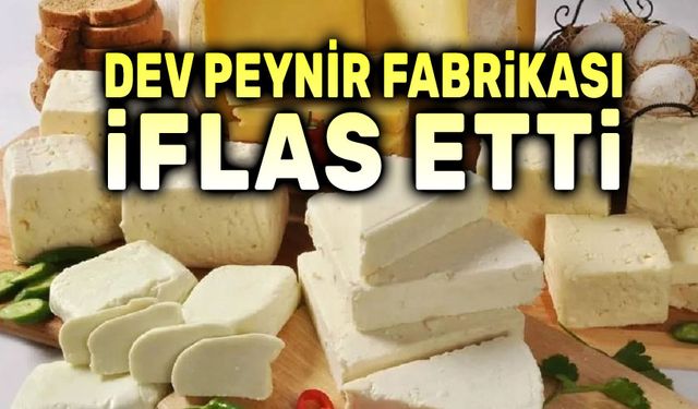 Dev peynir fabrikası iflas etti