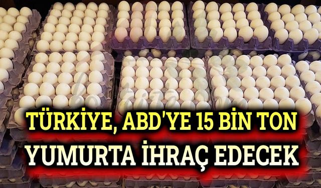 Türkiye'den ABD'ye yumurta ihracatı başladı