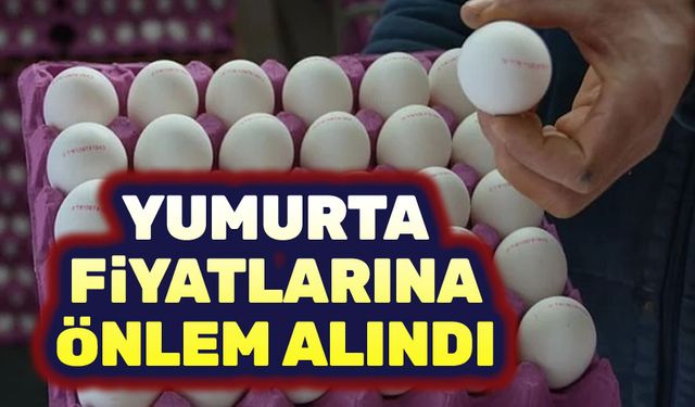 Yumurta fiyatlarına önlem alındı