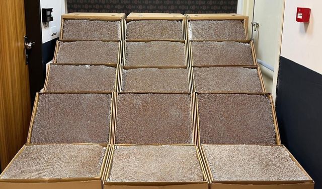 Afyon'da binlerce kaçak makaron ele geçirildi