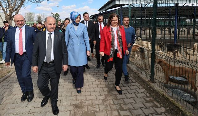 Başkan Burcu Köksal, Mehmet Aktaş'ı yerinde bilgilendirdi