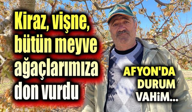 Afyon'da meyve ağaçlarının tamamına don vurdu