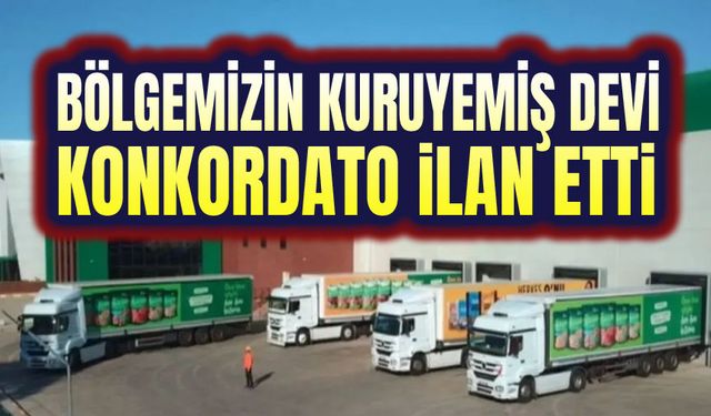 Kuruyemiş devi konkordato ilan etti