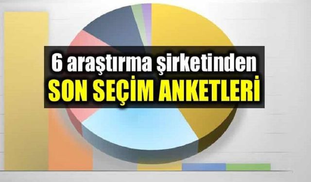 6 şirketin seçim anketi sonuçları