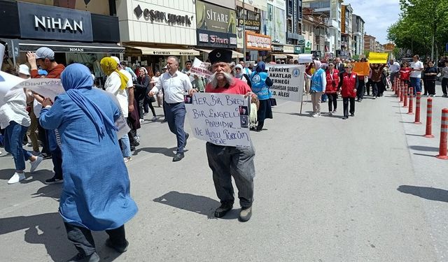 Afyonkarahisar Engelliler Festivali başladı