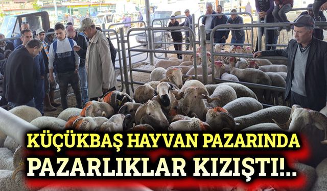 Küçükbaş hayvan pazarında pazarlıklar kızıştı!..