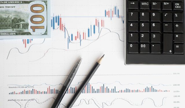 Döviz Yatırımcıları için Temel Bilgiler ve İpuçları