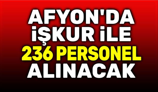 Afyon'da İŞKUR, 236 geçici personel alacak