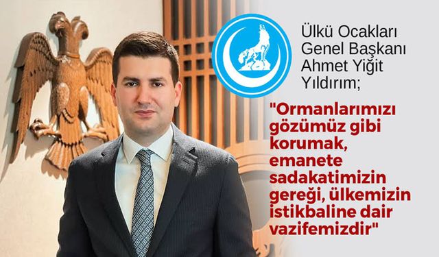 Ahmet Yiğit Yıldırım: Ülkü Ocakları olarak, orman yangınlarına karşı sahadayız