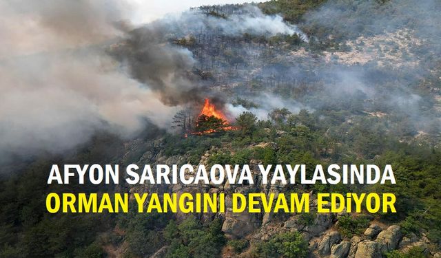 Afyon Sarıcaova Yaylasında yangın devam ediyor