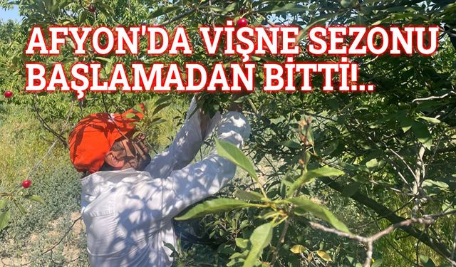 Afyon'da vişne sezonu başlamadan bitti
