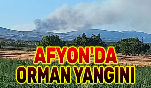 Afyon'da orman yangını