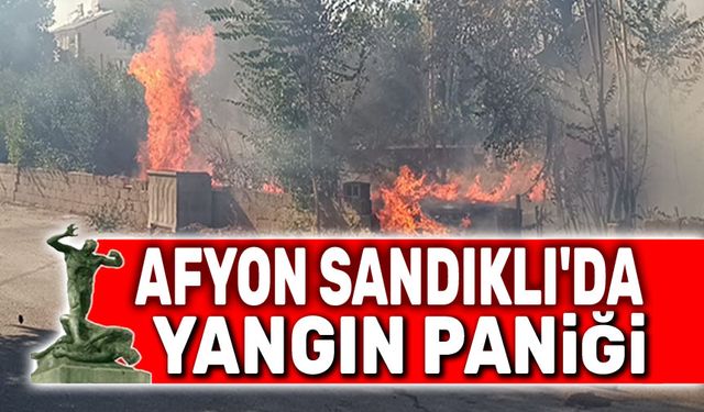 Afyon'da yangın paniği