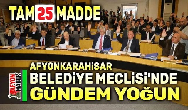 Afyonkarahisar Belediye Meclisi 1 Ağustos’ta toplanıyor
