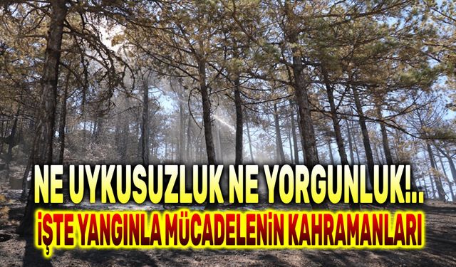 İşte yangınla mücadelenin kahramanları