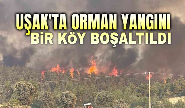 Uşak'ta orman yangını, bir köy tahliye edildi