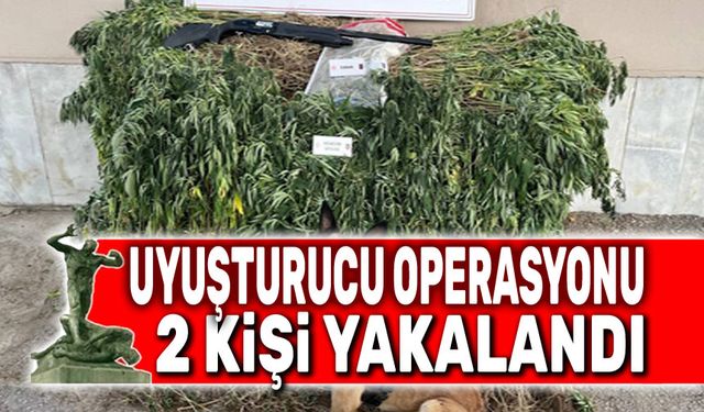 Afyon'da uyuşturucu operasyonu, 2 kişi yakalandı