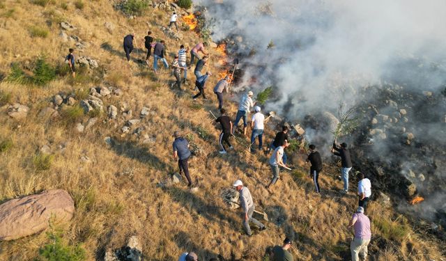Afyonkarahisar'da çıkan orman yangını söndürüldü