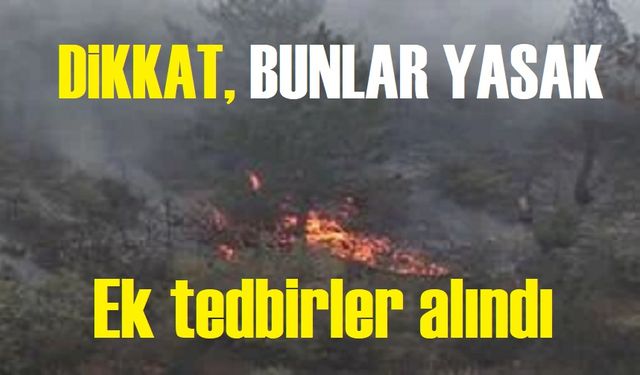 Orman yangınlarıyla mücadelede ek tedbirler