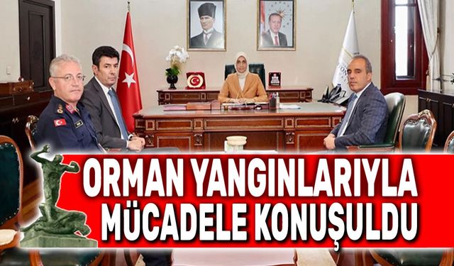 Orman yangınlarıyla mücadele masaya yatırıldı